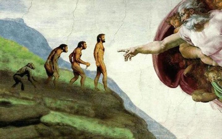 evolution touches god