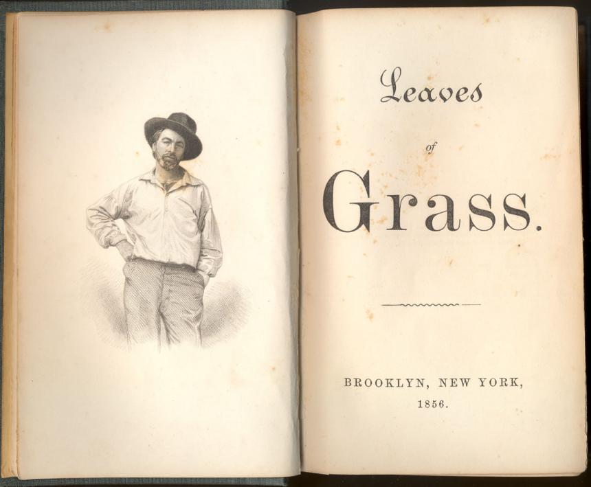 leaves of grass