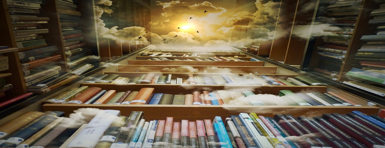 sky-bookshelf