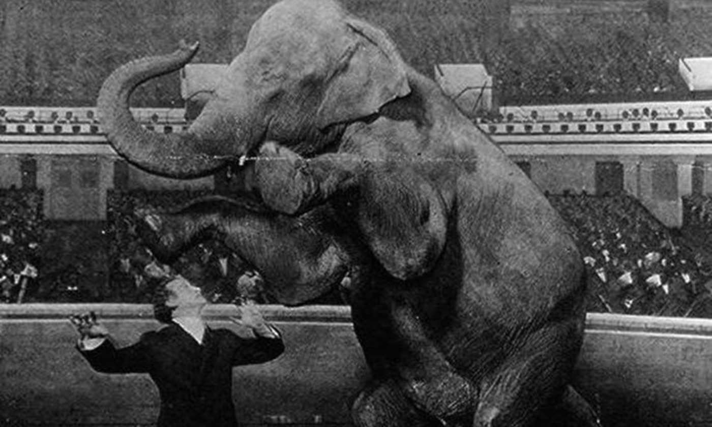 elephant-magic